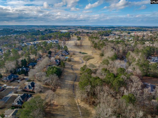 255 Palmer Drive, Lexington, SC 29072