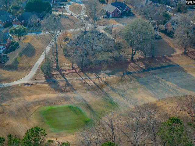 255 Palmer Drive, Lexington, SC 29072