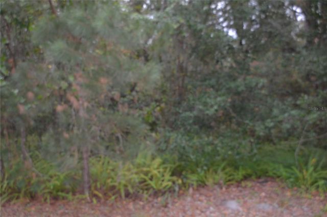 0 LINCOLN STREET, Sanford, FL 32771