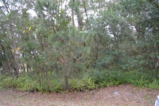 0 LINCOLN STREET, Sanford, FL 32771