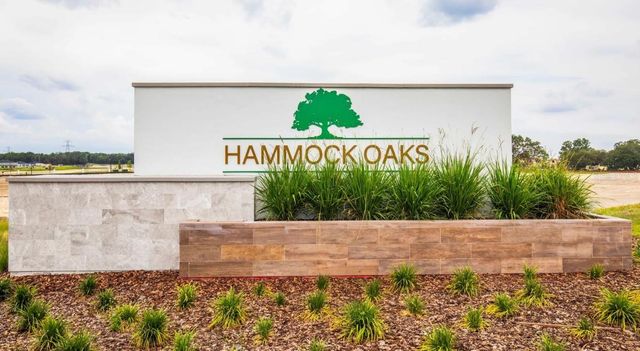 898 BUCKEYE DRIVE, Lady Lake, FL 32159