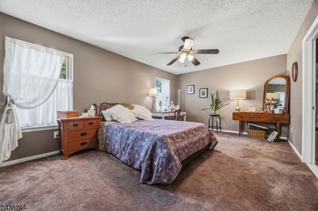 13 Betty Ct, Lebanon Boro, NJ 08833