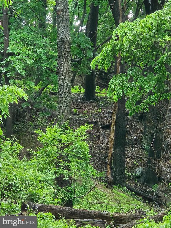 777 ADAMS ROAD, Breinigsville, PA 18031