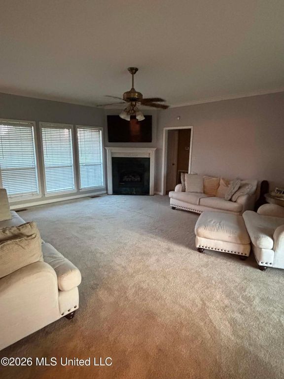101 Tena Cove, Senatobia, MS 38668 — photo 3