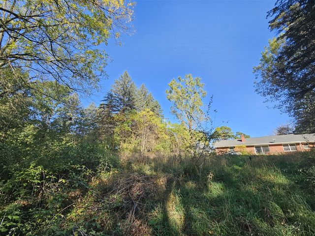 13333 Trinkle Road, Chelsea, MI 48118