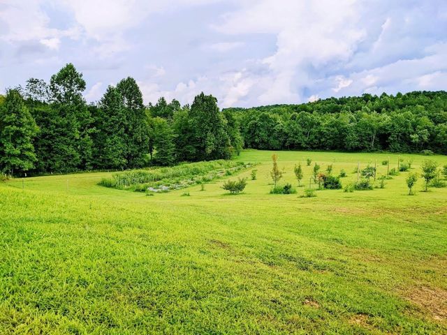 219 Zizka Dr, Sparta, TN 38583