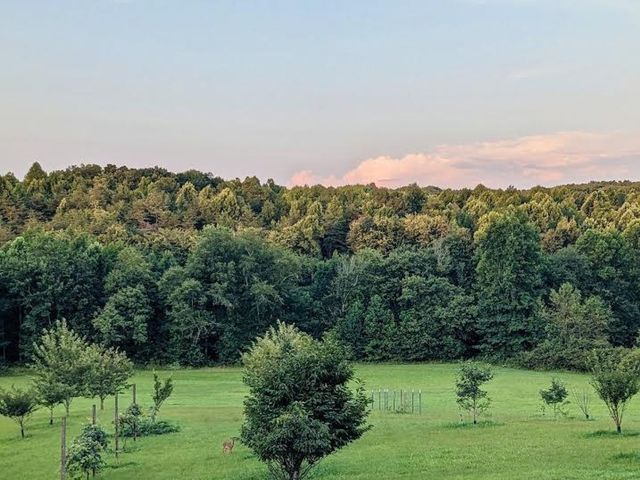 219 Zizka Dr, Sparta, TN 38583