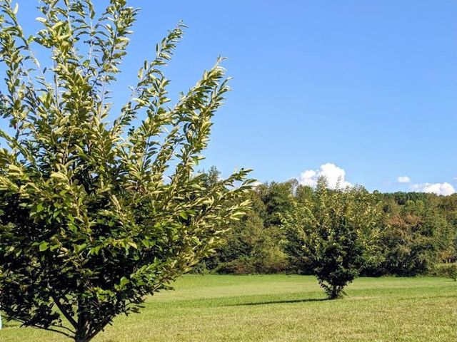 219 Zizka Dr, Sparta, TN 38583