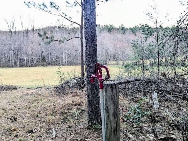 219 Zizka Dr, Sparta, TN 38583