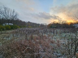 000 Duncan Hill Road, Danville, KY 40422