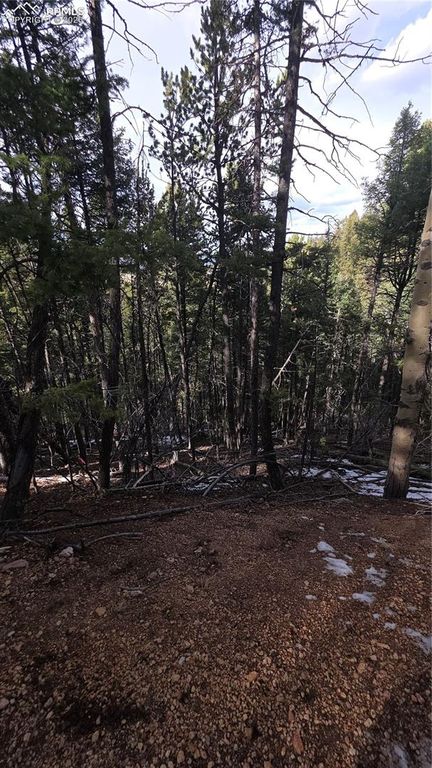 157 Gitchigoomee Trail, Woodland Park, CO 80863 — exterior