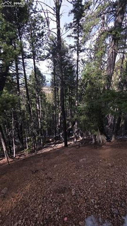 157 Gitchigoomee Trail, Woodland Park, CO 80863 — photo 2