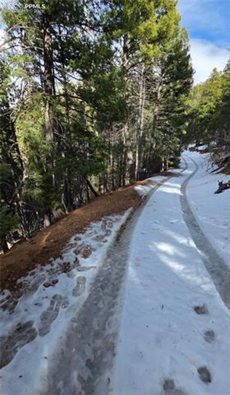 157 Gitchigoomee Trail, Woodland Park, CO 80863 — photo 3
