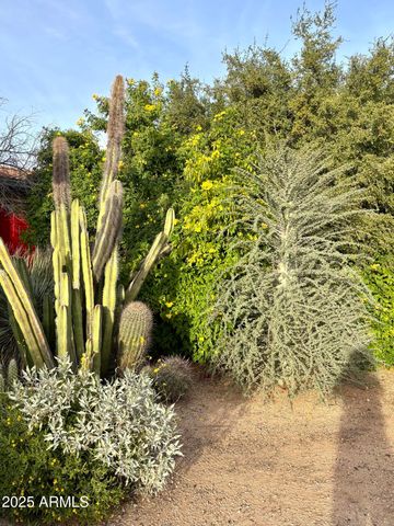 5440 E SEVEN PALMS Drive, Cave Creek, AZ 85331