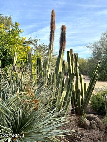 5440 E SEVEN PALMS Drive, Cave Creek, AZ 85331