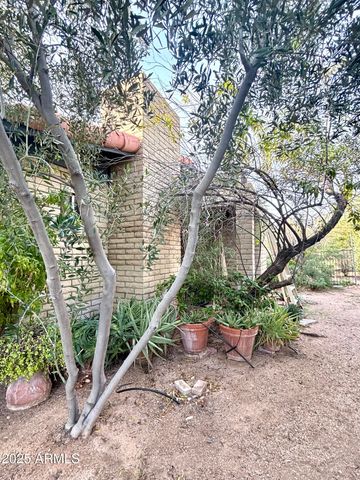 5440 E SEVEN PALMS Drive, Cave Creek, AZ 85331