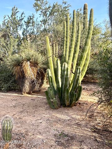 5440 E SEVEN PALMS Drive, Cave Creek, AZ 85331