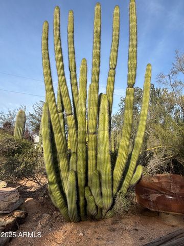 5440 E SEVEN PALMS Drive, Cave Creek, AZ 85331