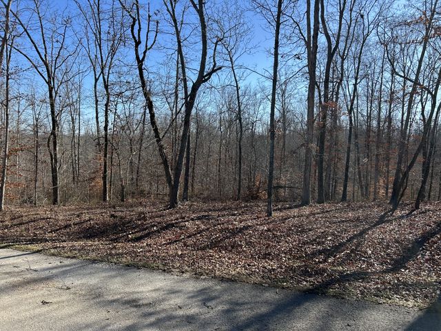 9 Slaughter Rd, Primm Springs, TN 38476