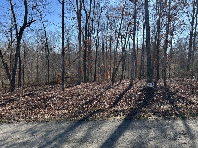 9 Slaughter Rd, Primm Springs, TN 38476