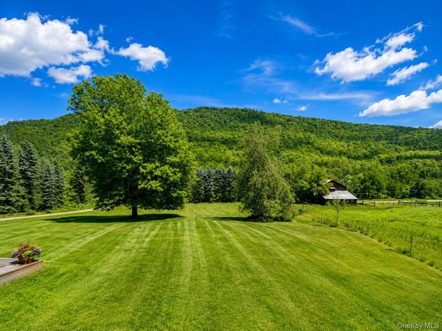 438 Gulf Road, Roscoe, NY 12776
