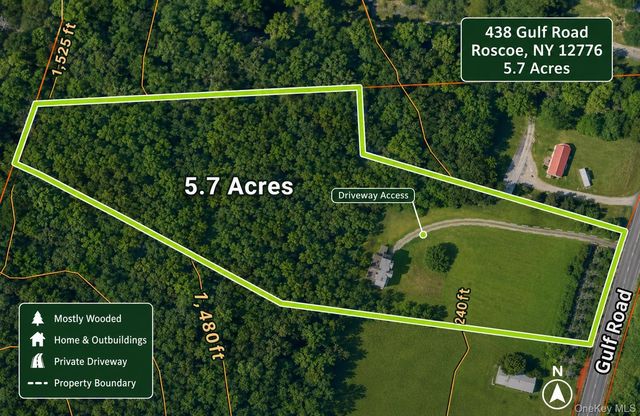 438 Gulf Road, Roscoe, NY 12776