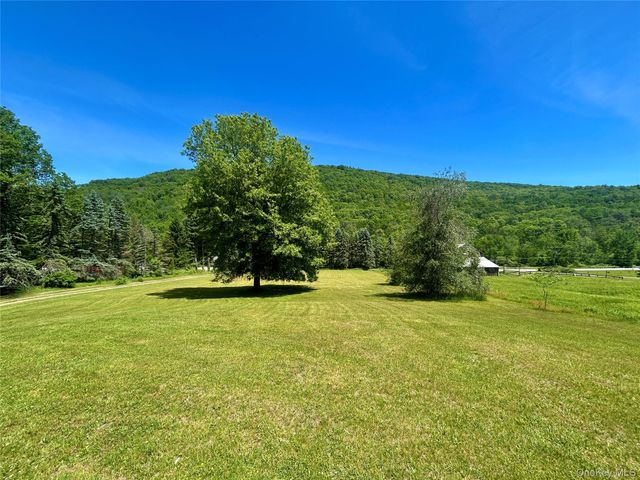 438 Gulf Road, Roscoe, NY 12776