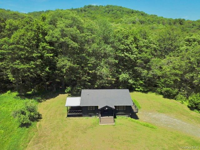 438 Gulf Road, Roscoe, NY 12776