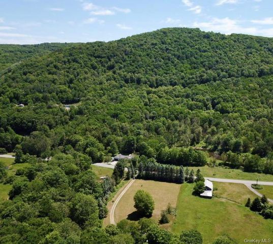 438 Gulf Road, Roscoe, NY 12776