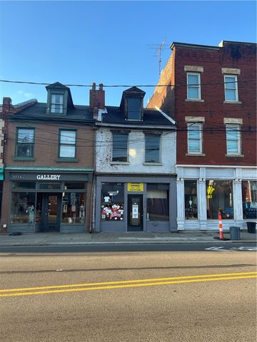 1019 E Carson St, South Side, PA 15203