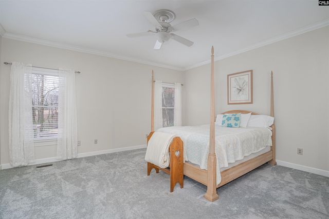 573 Wateroak Trail, Chapin, SC 29036