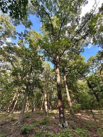 14790 Slaty Gap Road, West Fork, AR 72774