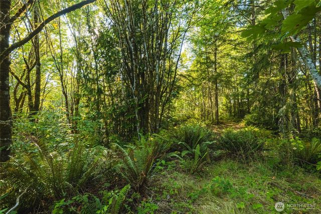 9011 Dana Drive NW, Gig Harbor, WA 98332