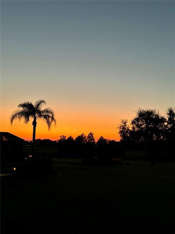 3024 PAYNES PLACE, The Villages, FL 32162