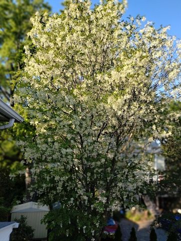 10 Marrigan St, Arlington, MA 02474