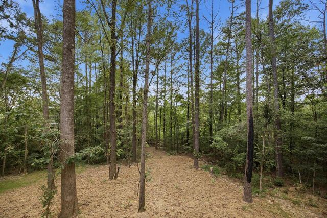 299 Eaglebend Drive, Cohutta, GA 30710