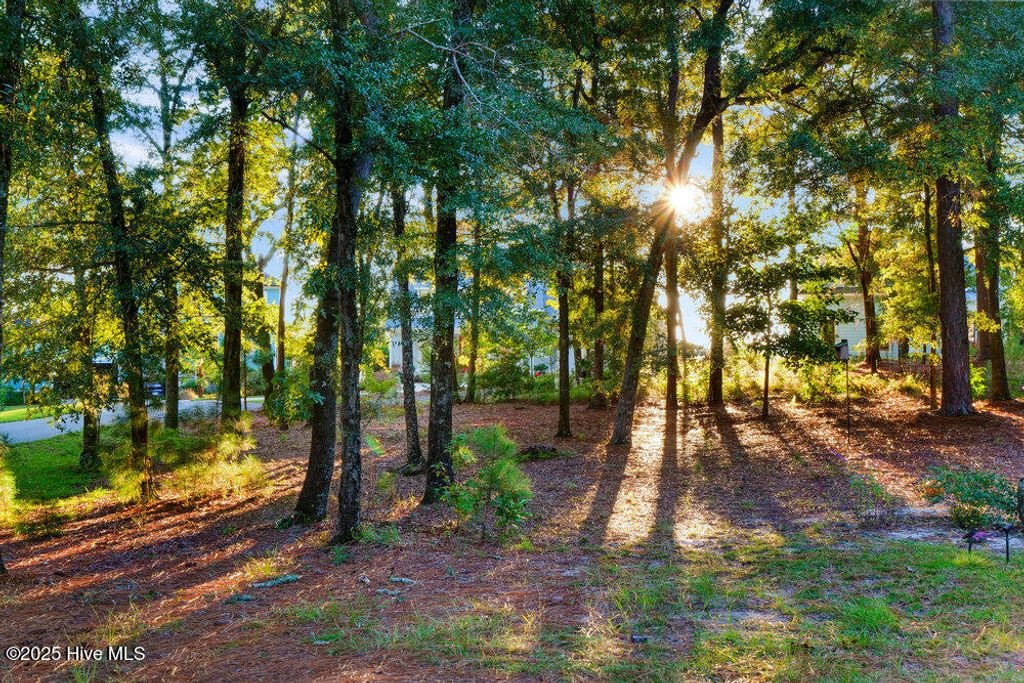 Image 83 of property listing at 3623 White Cliffs Drive, Castle Hayne, NC 28429