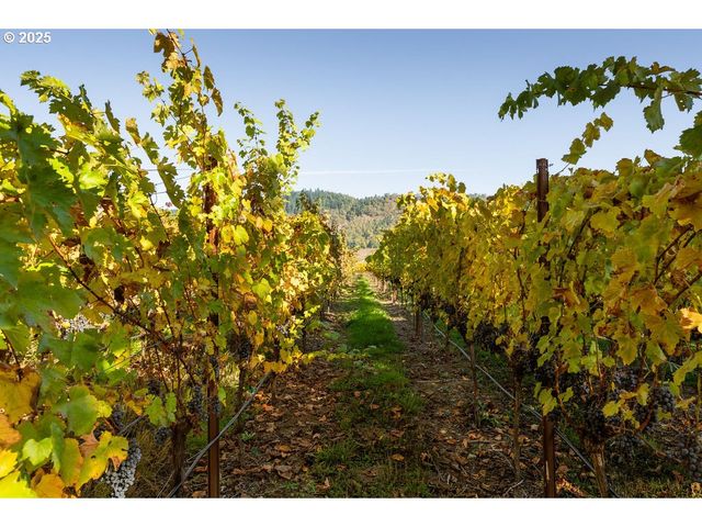 8690 LOOKINGGLASS Rd, Roseburg, OR 97471