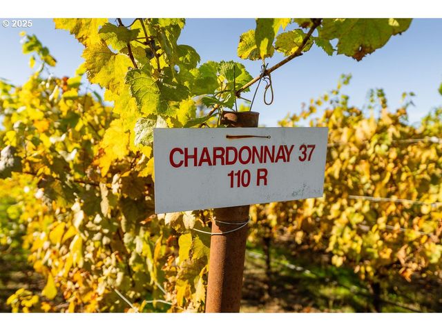 8690 LOOKINGGLASS Rd, Roseburg, OR 97471