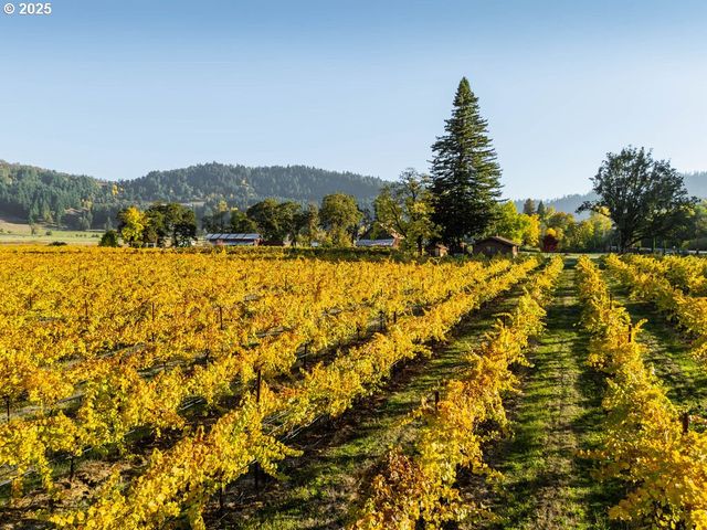 8690 LOOKINGGLASS Rd, Roseburg, OR 97471