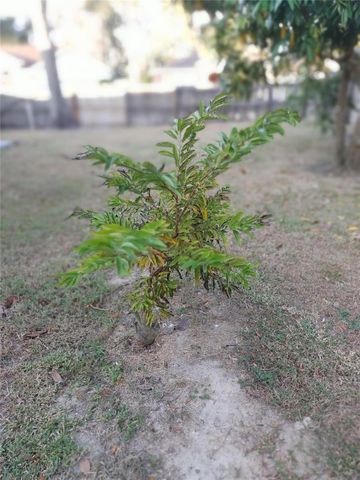 5398 OXFORD MANOR CIRCLE, Lakeland, FL 33810