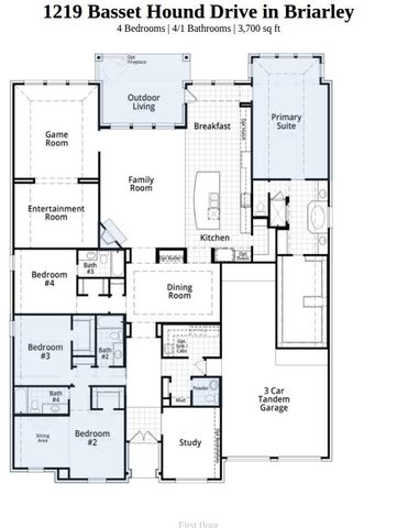 1219 Basset Hound Drive, Montgomery, TX 77316