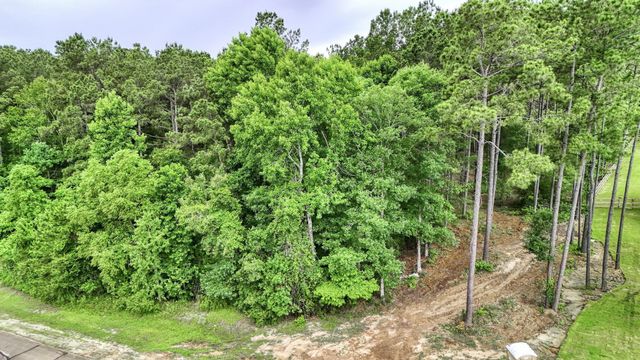 14797 Turquoise Trail, Willis, TX 77378