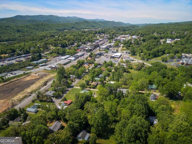 50 River Street, Blue Ridge, GA 30513
