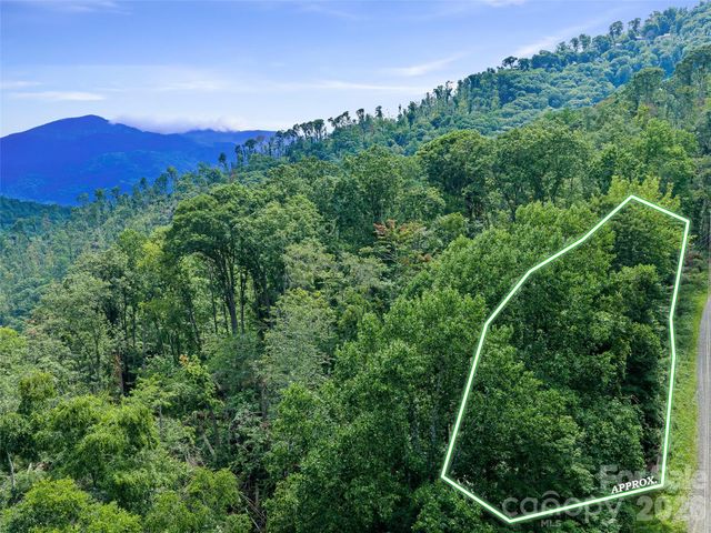 000 Winterberry Road 25, Burnsville, NC 28714