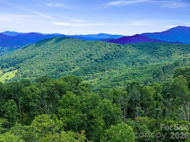 000 Winterberry Road 25, Burnsville, NC 28714