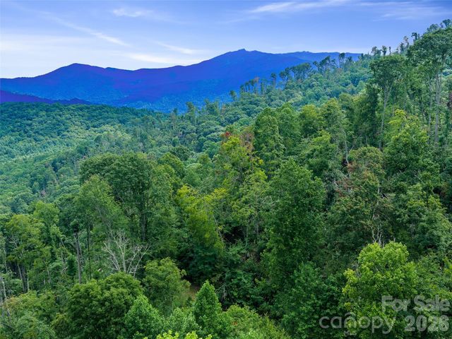 000 Winterberry Road 25, Burnsville, NC 28714