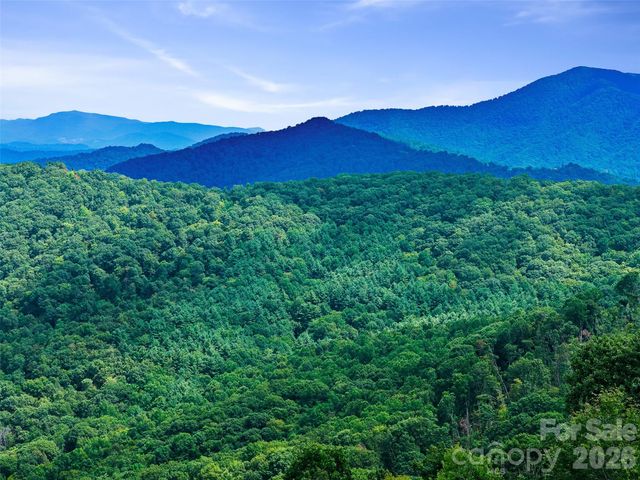 000 Winterberry Road 25, Burnsville, NC 28714