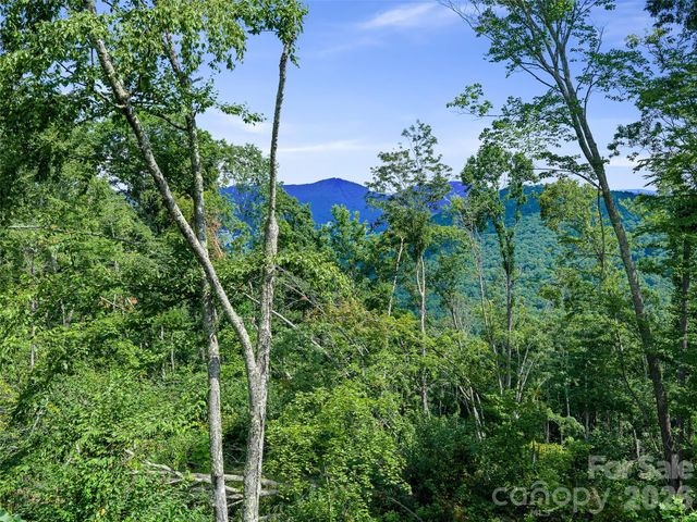 000 Winterberry Road 25, Burnsville, NC 28714