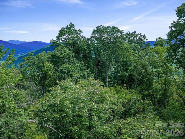 000 Winterberry Road 25, Burnsville, NC 28714